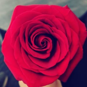 Meet your Posher, Sierra